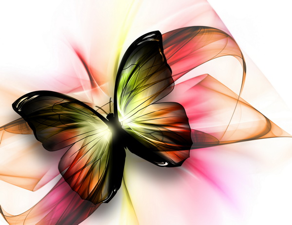 butterfly 13105